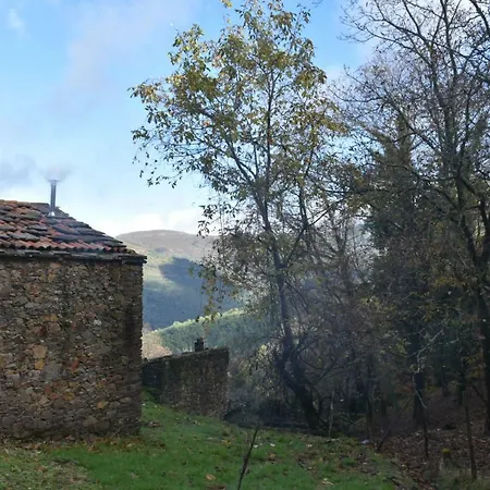 Holiday home Casa Javali Chiqueiro